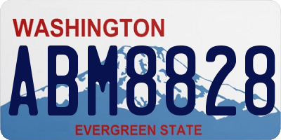 WA license plate ABM8828
