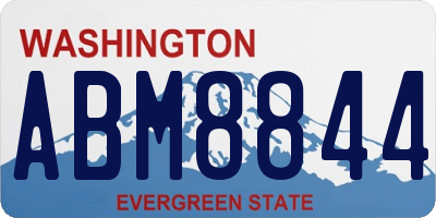 WA license plate ABM8844
