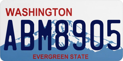 WA license plate ABM8905