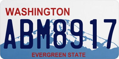 WA license plate ABM8917