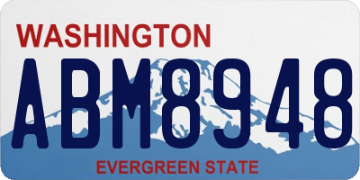 WA license plate ABM8948