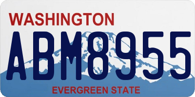 WA license plate ABM8955