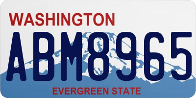 WA license plate ABM8965