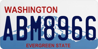 WA license plate ABM8966