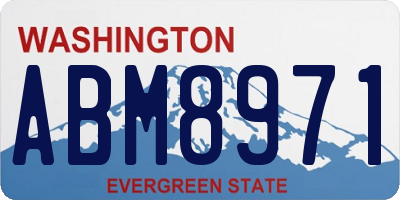 WA license plate ABM8971