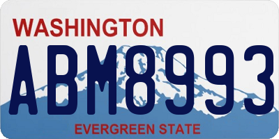 WA license plate ABM8993