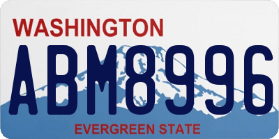 WA license plate ABM8996