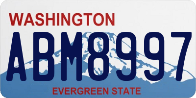 WA license plate ABM8997