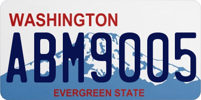 WA license plate ABM9005