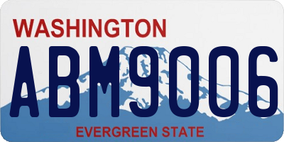 WA license plate ABM9006