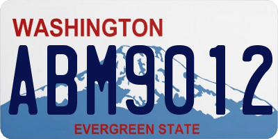 WA license plate ABM9012