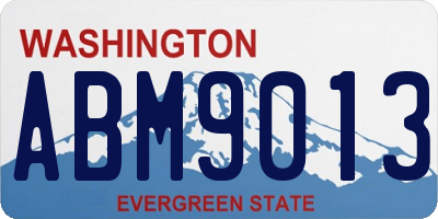 WA license plate ABM9013