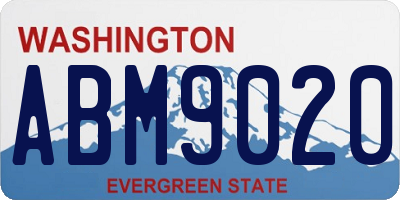 WA license plate ABM9020