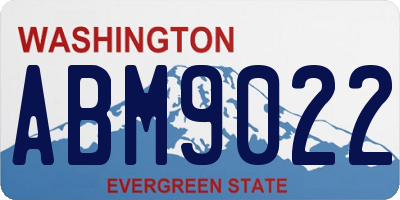 WA license plate ABM9022