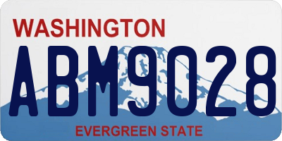 WA license plate ABM9028