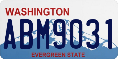 WA license plate ABM9031