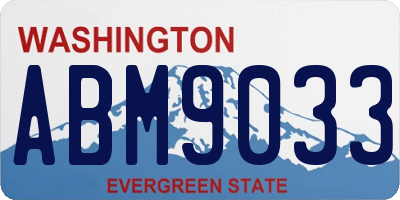 WA license plate ABM9033