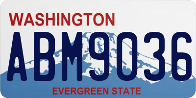 WA license plate ABM9036