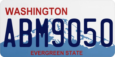 WA license plate ABM9050
