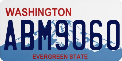 WA license plate ABM9060