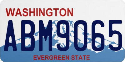 WA license plate ABM9065