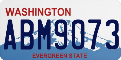 WA license plate ABM9073