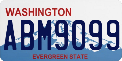 WA license plate ABM9099