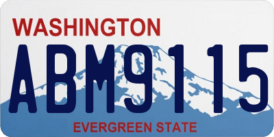WA license plate ABM9115