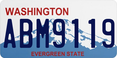 WA license plate ABM9119