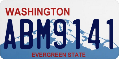 WA license plate ABM9141