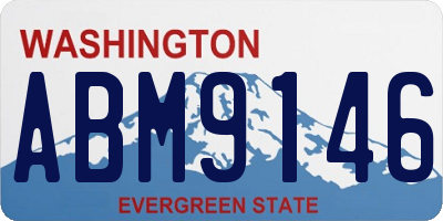 WA license plate ABM9146