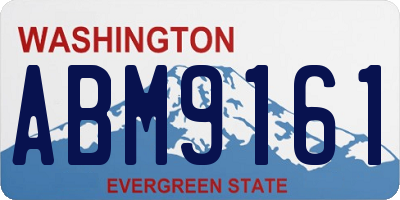 WA license plate ABM9161