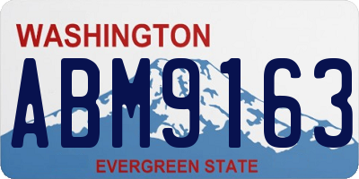 WA license plate ABM9163