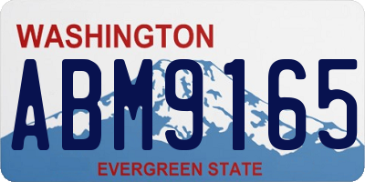 WA license plate ABM9165
