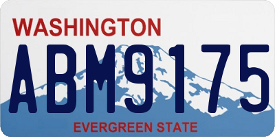 WA license plate ABM9175