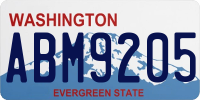 WA license plate ABM9205