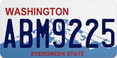 WA license plate ABM9225