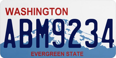 WA license plate ABM9234