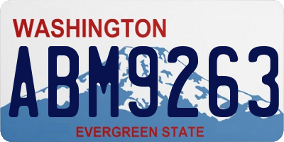 WA license plate ABM9263