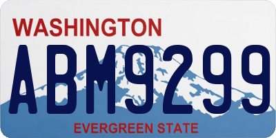 WA license plate ABM9299