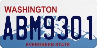 WA license plate ABM9301