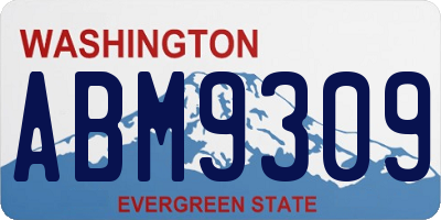 WA license plate ABM9309