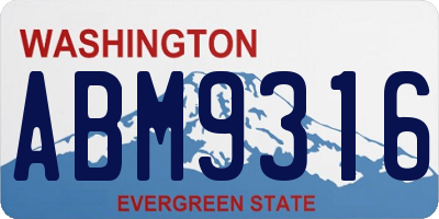 WA license plate ABM9316