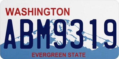 WA license plate ABM9319
