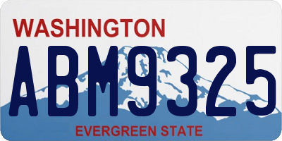 WA license plate ABM9325