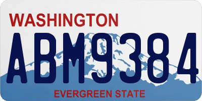 WA license plate ABM9384