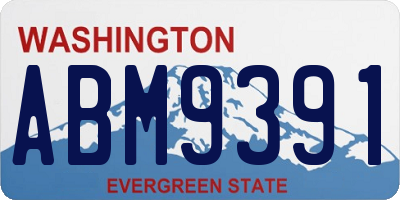 WA license plate ABM9391