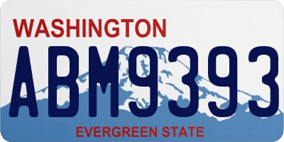 WA license plate ABM9393