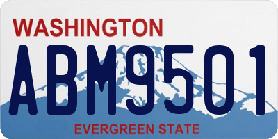 WA license plate ABM9501