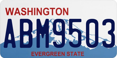 WA license plate ABM9503